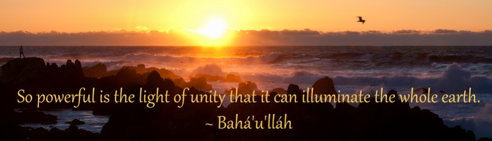 Light of Unity banner